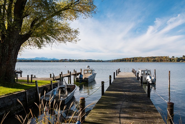 这位中国足 这位中国足