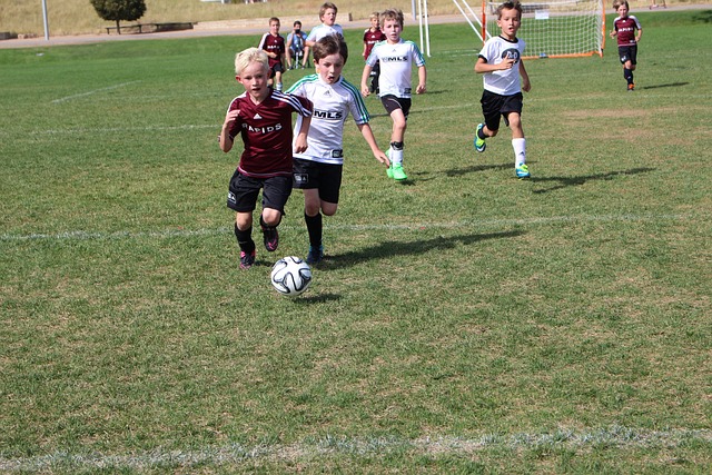 危不乱的领 危不乱的领