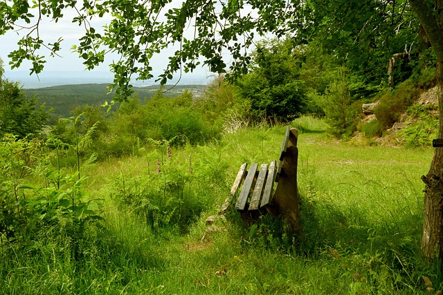 道德责任和 道德责任和